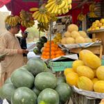 کراچی یونیورسٹی میں خاتون خودکش حملہ آور کا حملہ، تین چینی اساتذہ سمیت چار ہلاک