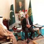 بلاول بھٹو زر داری جلد لندن روانہ ہونگے ، نوازشریف اور اسحاق ڈار سے اہم ملاقات ہوگی￼