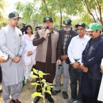اسسٹنٹ کمشنر سانگھڑ کا منافع خوروں کے خلاف کاروائی